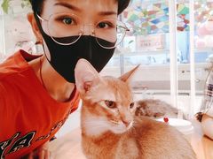 -猫小院猫主题餐厅(三里屯店)