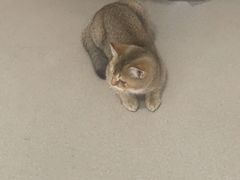 -立德动物医院·24小时中心(番禺区院区)