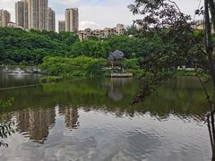 -重庆彩云湖湿地公园