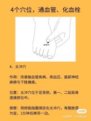 -香薇妮丝女子减肥院