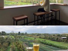 -翠田Green Field Kitchen
