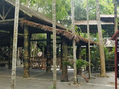 -海南槟榔谷黎苗文化旅游区