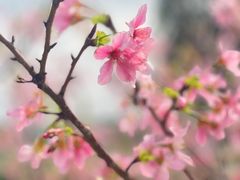 -广东中医药博物馆