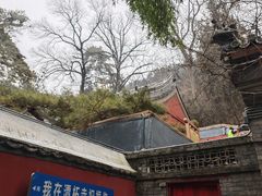 -潭柘寺景区