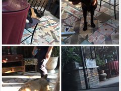 -杨桃院子咖啡吧(中华红墨店)