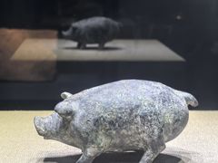 -亳州博物馆
