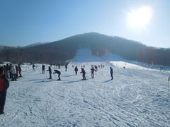-玉泉威虎山森林公园