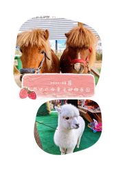 -萌宠亲子动物乐园(槐房万达店)