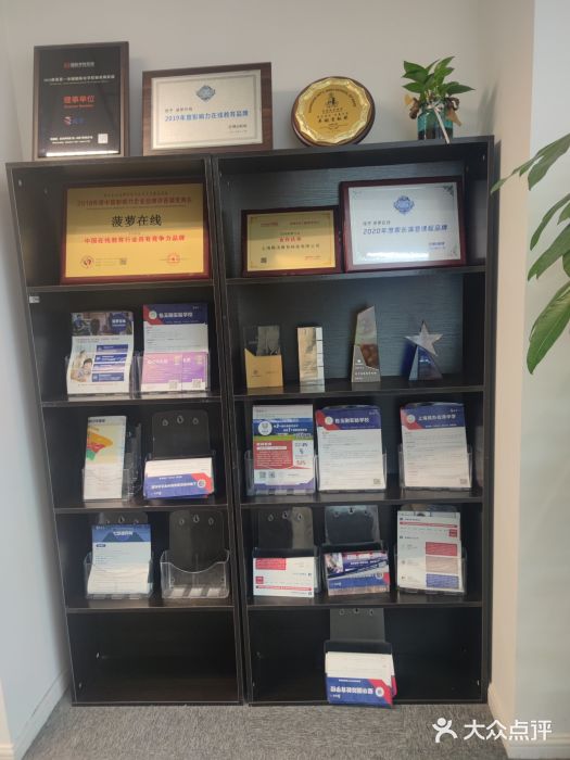 菠萝国际教育专注Alevel·IGCSE·IB·AP·托福雅思培训辅导(静安校区)图片