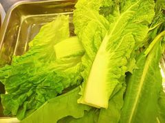 -金鼎雪山牦牛杂火锅(理县总店)