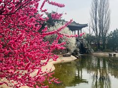 -国家植物园南园