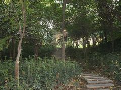 -西安市长乐公园