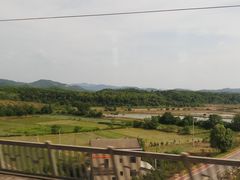 -大塘金香草谷