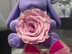 -ROSEONLY诺誓(国际广场购物中心店)