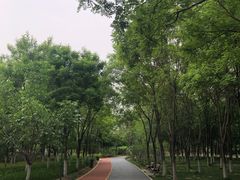 -大兴滨河森林公园