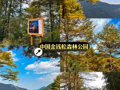 -老李家土菜馆·安吉地标美食