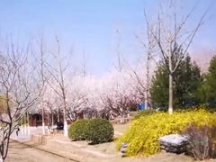 -永定河休闲森林公园