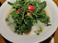 浓汤桑叶-广东道至正餐厅(区庄店)