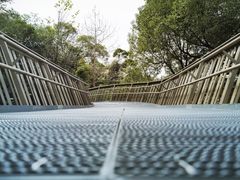 -福道