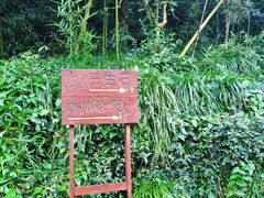 -杭州西湖风景名胜区-三生石