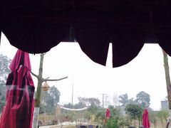 -森居forest休闲咖啡聚集地