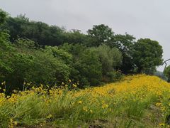 -南京市江宁方山