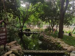 -成都市活水公园