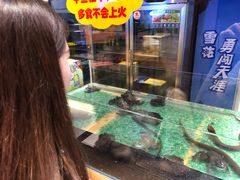 -洪湘记川湘·甲鱼馆(四海凯悦美食广场店)