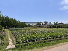 -乌村