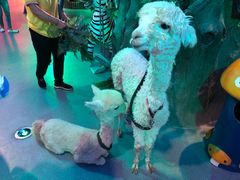 -梦幻海洋王国(吾悦广场张家港店)