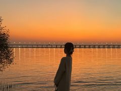 -宝安西湾红树林湿地公园