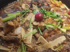 -老板恋上鱼(恒隆广场店)