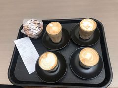 -墨尔本皇家植物园