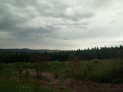 -塞罕坝国家级自然保护区