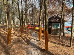 -上海海湾国家森林公园