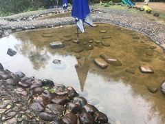 -遂昌金矿国家矿山公园