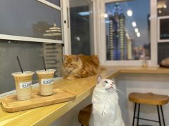 -Heymao猫咖.咖啡厅(东门店)