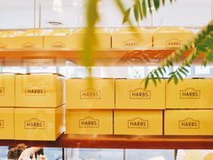 -HARBS(渋谷ヒカリエ シンクス店)
