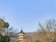 -灵谷景区
