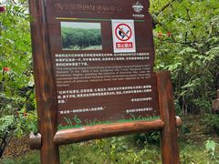 -华侨城湿地公园