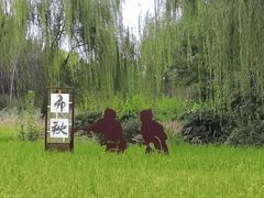 -北坞公园