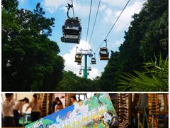 -广州长隆野生动物世界