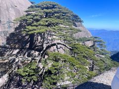 -黄山风景区
