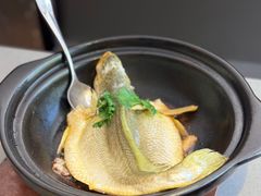 原汁原味焗黄花鱼-八月小厨· 湛江风味粤菜