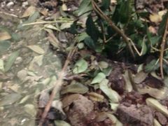 -上海昆虫博物馆