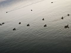 -西昌邛海湿地