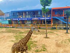 -西霞口神雕山野生动物世界