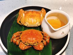-锦江悦(印象城店)