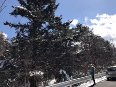 -富士山吉田線五合目