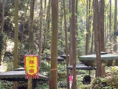 -凤栖山